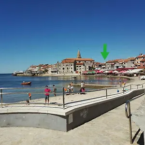 https://studio-apartment-amar.in-istria.net
